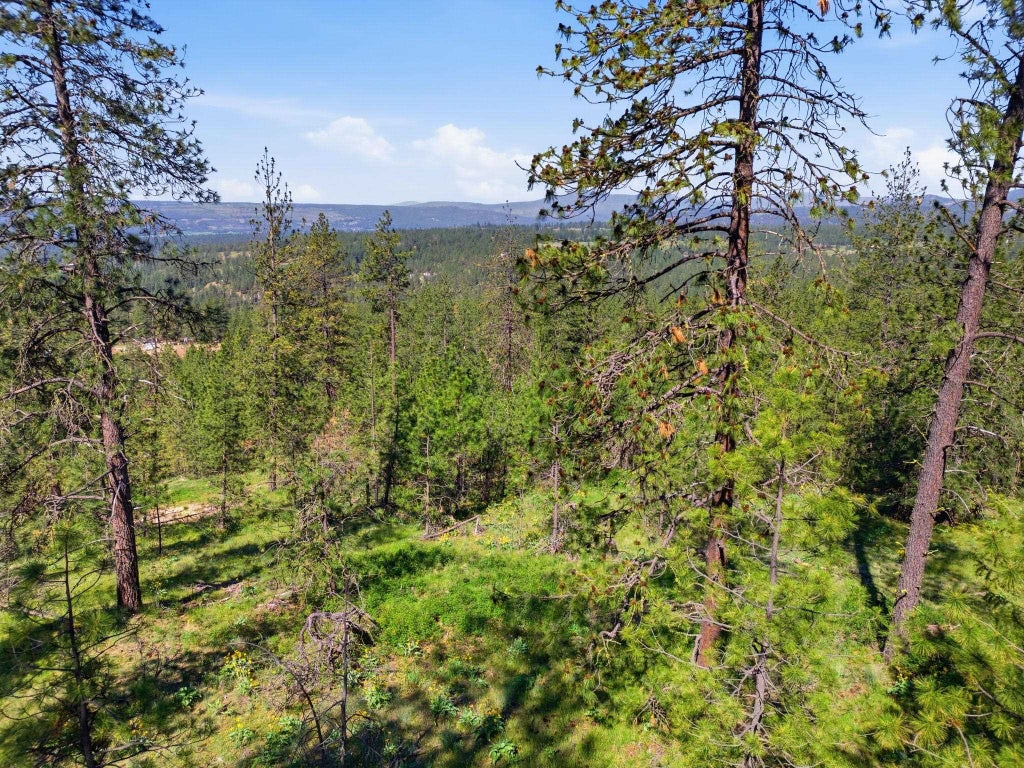 Photo of NKA Weaver Way, Deer Park, WA 99006 (MLS # 202618961)