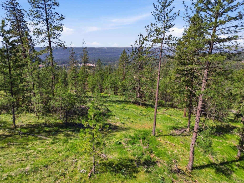 Photo of NKA Weaver Way, Deer Park, WA 99006 (MLS # 202618961)