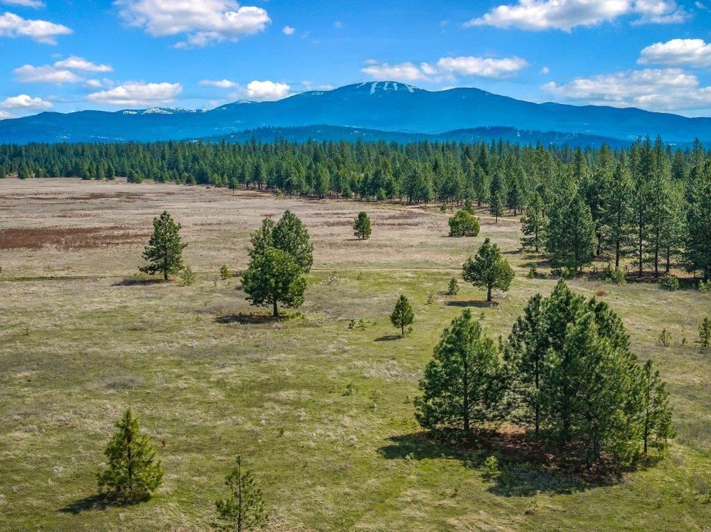 Photo of NKA W Findley Ln, Deer Park, WA 99006 (MLS # 202525606)