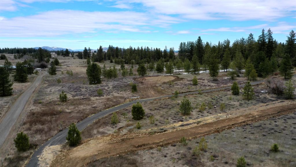 Photo of 18324 W Burnett Rd, Nine Mile Falls, WA 99026 (MLS # 202616480)
