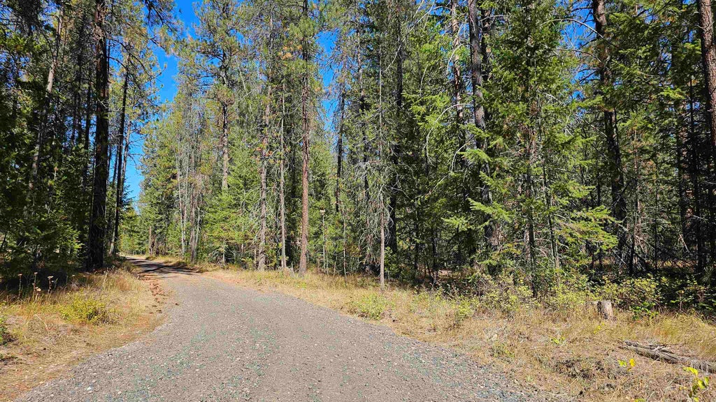 Photo of 385X Agar Rd, Loon Lake, WA 99148 (MLS # 202624571)