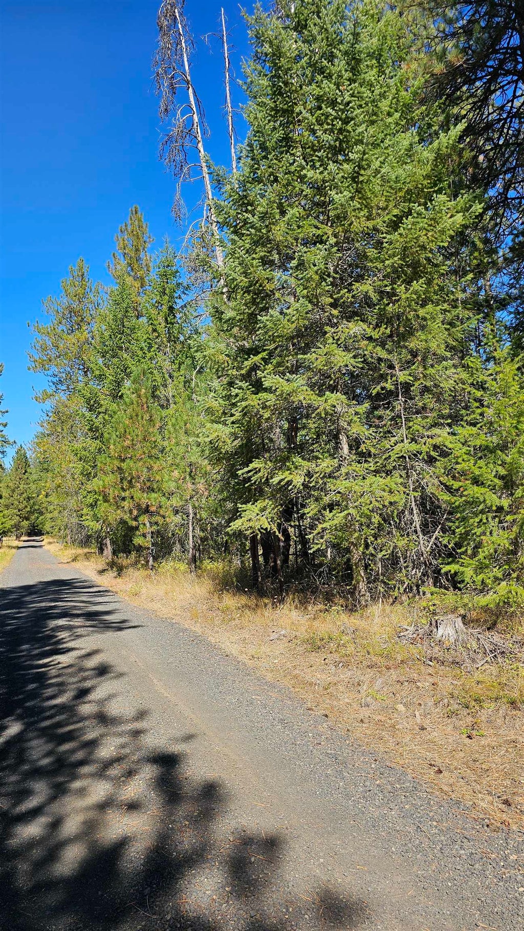 Photo of 385X Agar Rd, Loon Lake, WA 99148 (MLS # 202624571)
