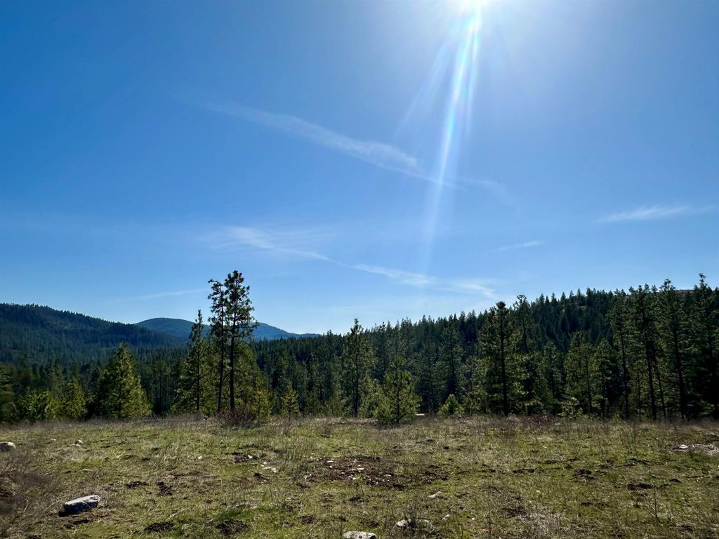 Photo of 1059 Scotia Rd, Newport, WA 99156 (MLS # 202619718)