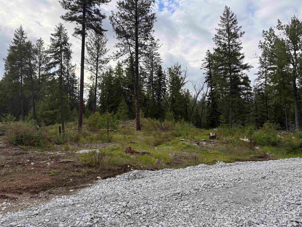 Photo of NKN Lot 2 Veit Rd, Newport, WA 99156 (MLS # 202624602)
