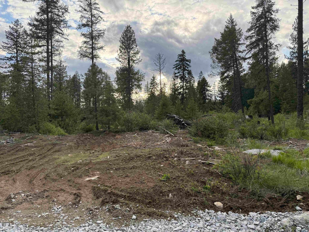 Photo of NKN Lot 2 Veit Rd, Newport, WA 99156 (MLS # 202624602)