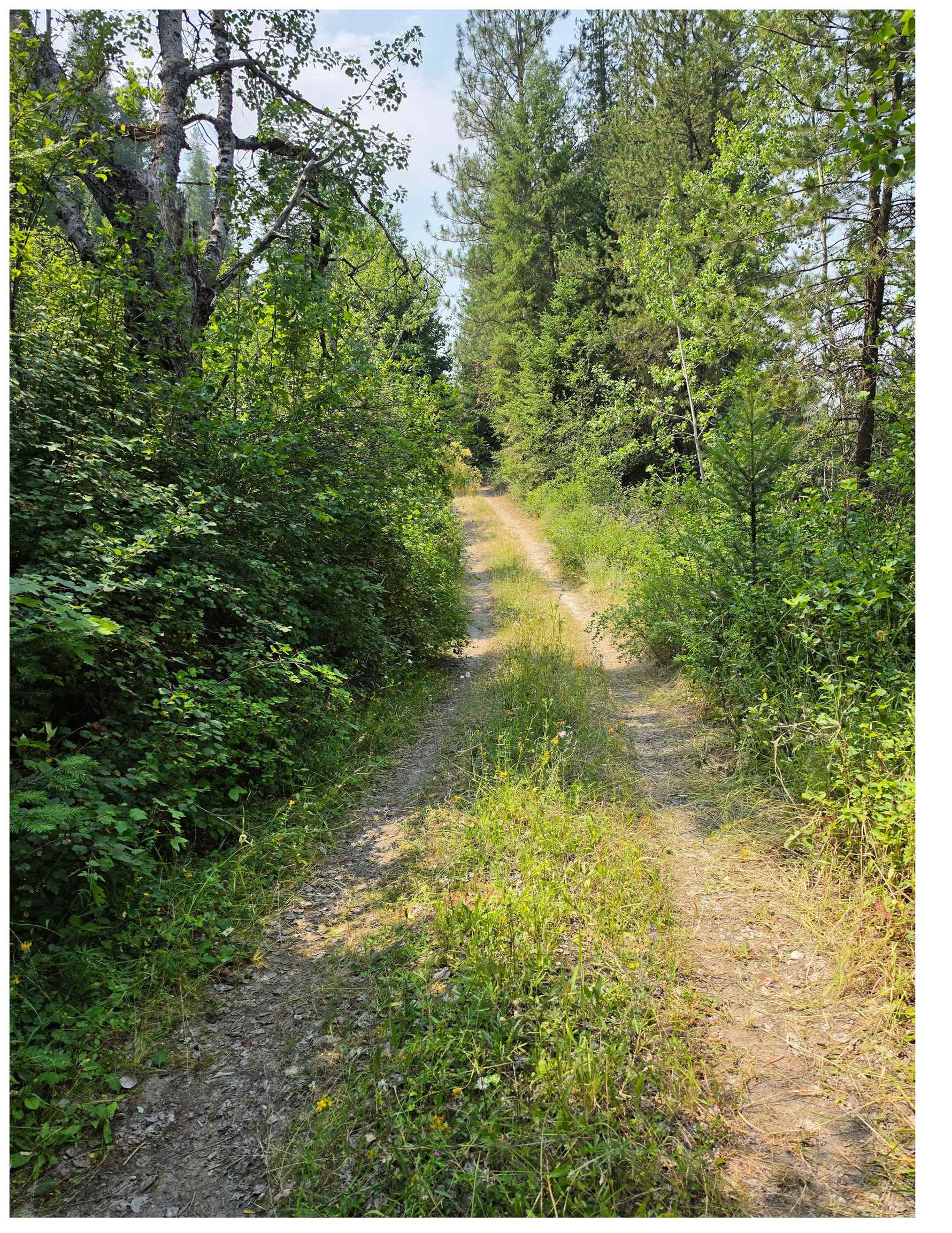 NNA HWY 20 & MC CLOUD CREEK Rd - Photo 3