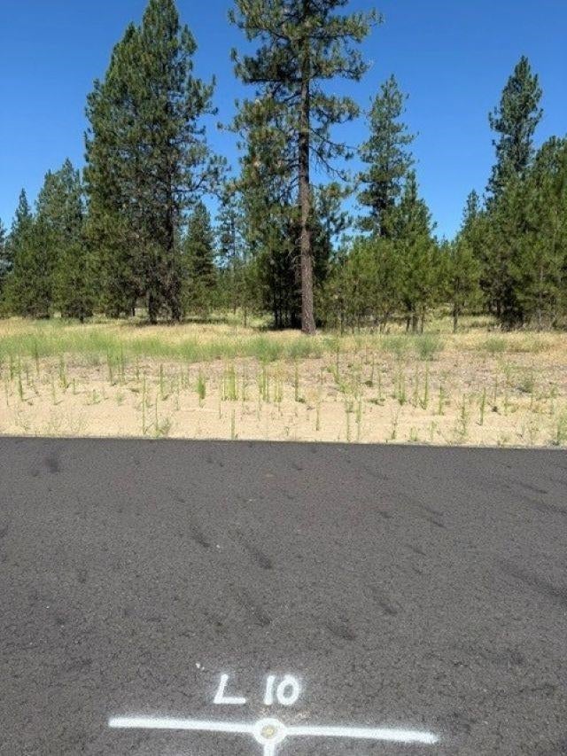 Photo of Lot 10 Long Lake Estates Way, Nine Mile Falls, WA 99026 (MLS # 202620958)