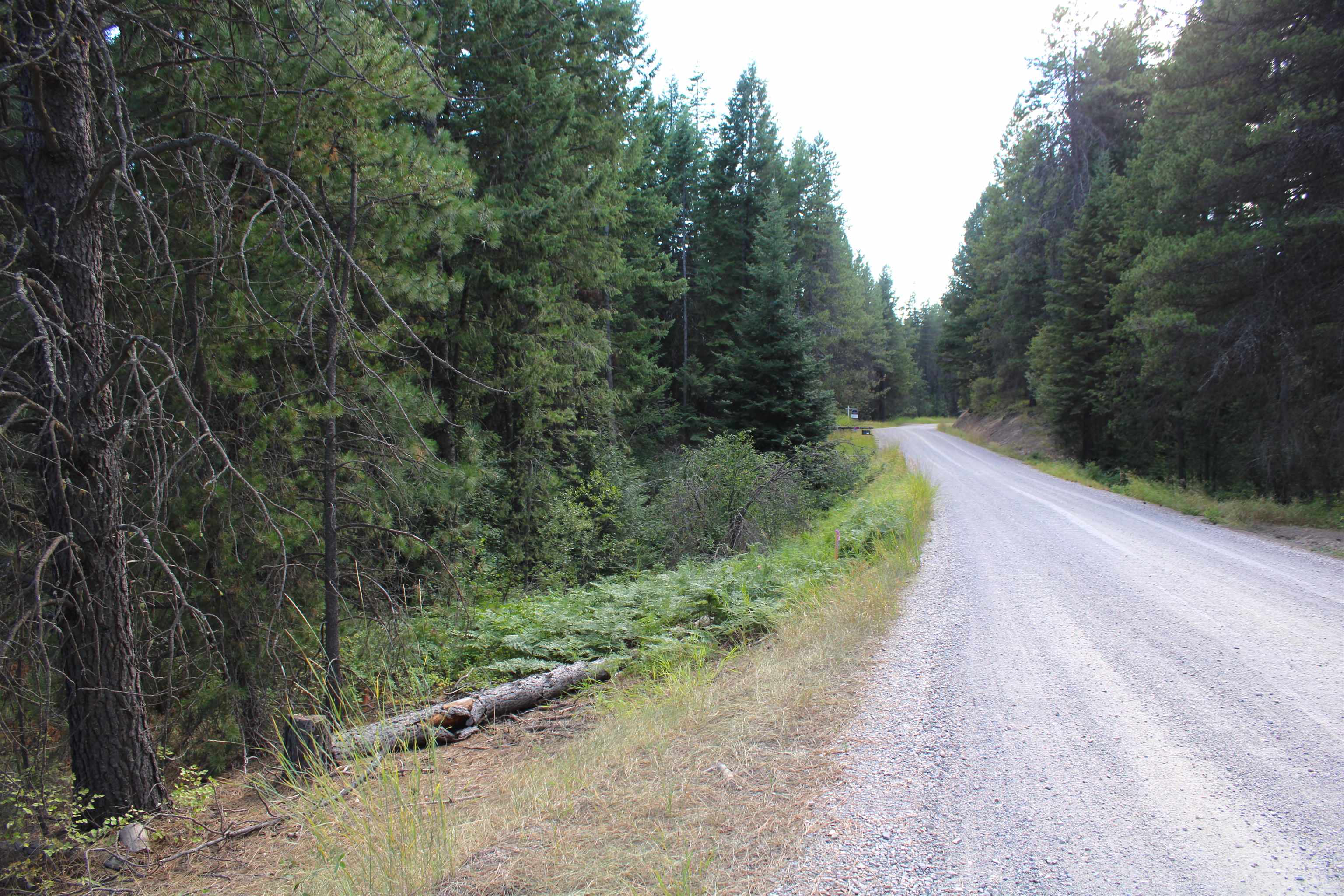 Photo 8 of 13 of 000 N Allen Rd land