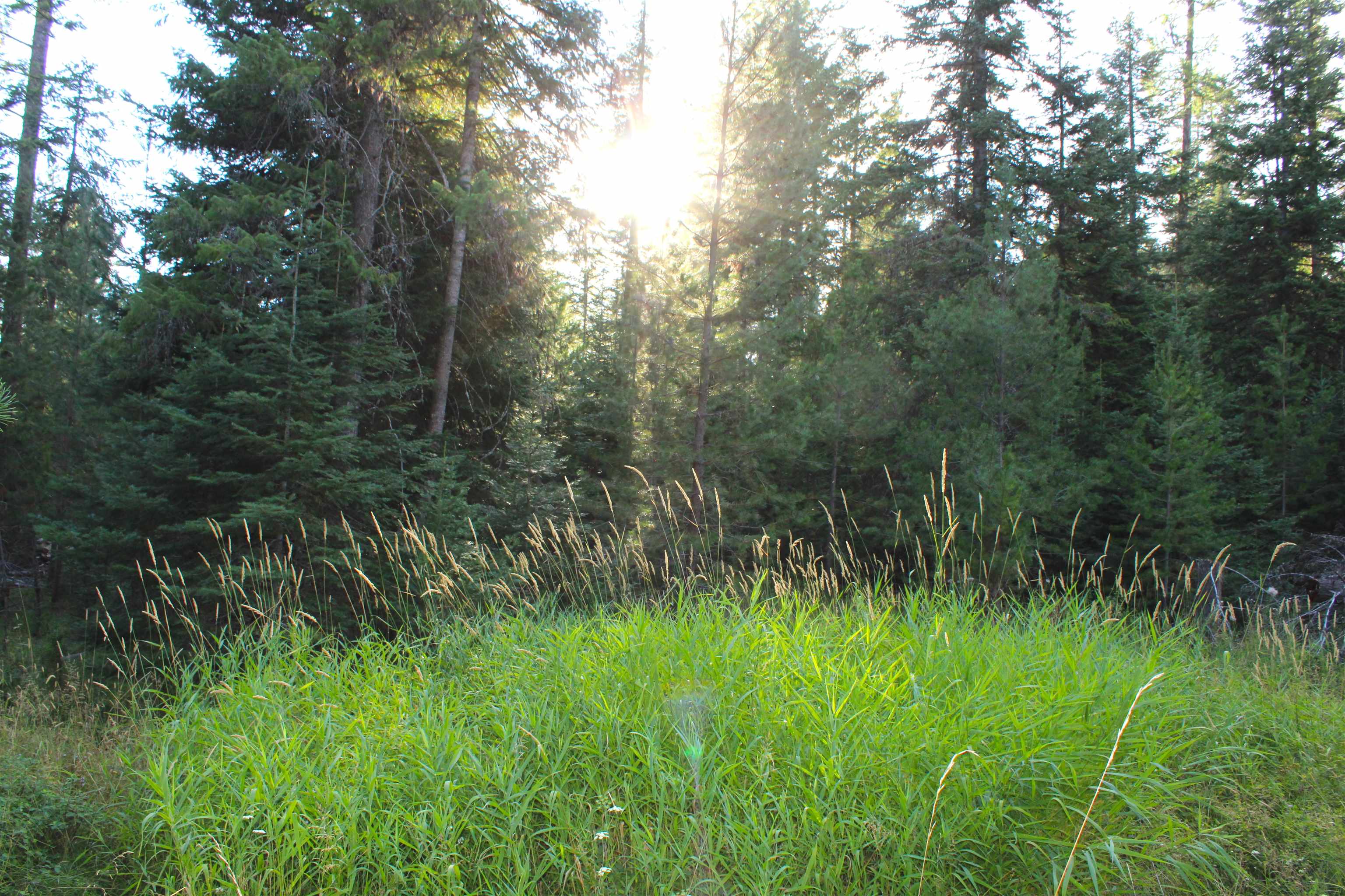 Photo 4 of 13 of 000 N Allen Rd land