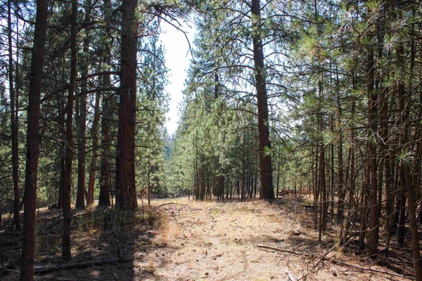 NKA (SOUTH LOT) E FARWELL RD, SPOKANE, WA 99217 - Image fdcbdc8ec37f071c4e9c3438574e1e1a/2999609200