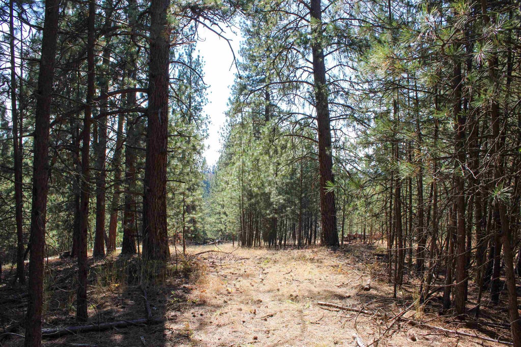 Photo of NKA (South lot) E Farwell Rd, Spokane, WA 99217 (MLS # 202625782)
