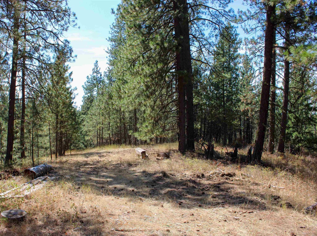 Photo of NKA (South lot) E Farwell Rd, Spokane, WA 99217 (MLS # 202625782)