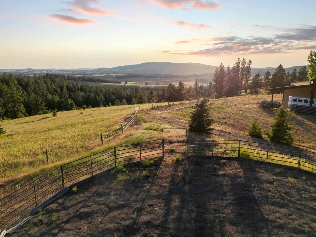 Photo of 10718 S Mica Vista Ln, Mica, WA 99023 (MLS # 202623520)