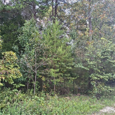 ADDRESS PRIVATE, CORYDON, IN 47112 - Image 2f17d4f42775fddccf09e0d2265eeefa/1013309802