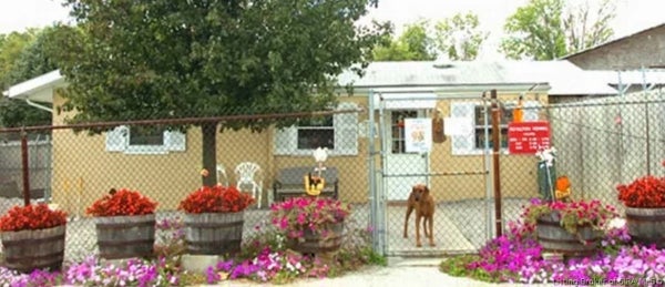 8620 OLD BARDSTOWN RD, LOUISVILLE, KY 40291 - Image 4ddf7cf836971fd558f27ca736eb0dbd/424169205