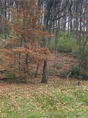 141 SKYLINE CT, FLOYDS KNOBS, IN 47119 - Image be840f633b831bfc5d6d70cd6f1eb00f/160178191