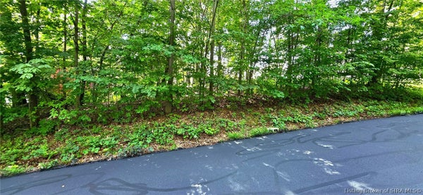 ROSIEGAYLE DR NE, PALMYRA, IN 47164 - Image f502cf48e64cfb8b16882048382e2a1a/3982809063