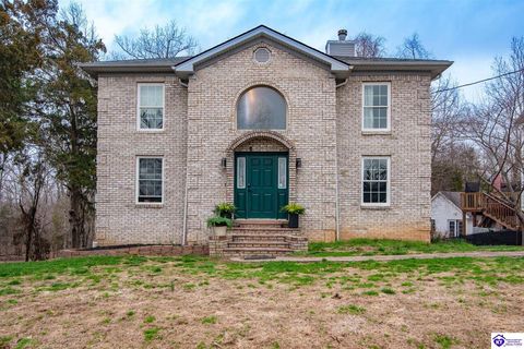 182 Woodview Drive, Brandenburg, KY 40108 - #: HK2600976