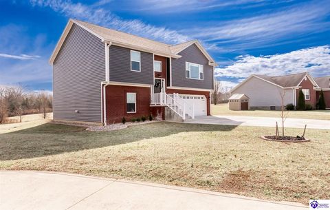 68 Prong Horn Court, Vine Grove, KY 40175 - MLS#: HK25000813