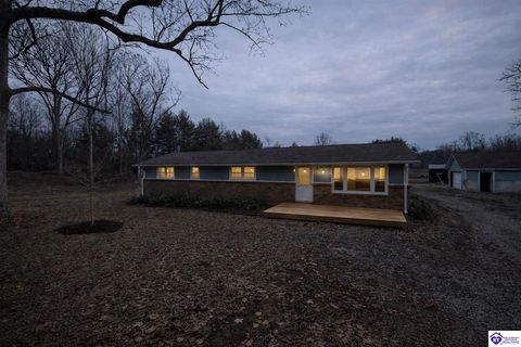 215 Meade Springs Road, Brandenburg, KY 40108 - #: HK2600521