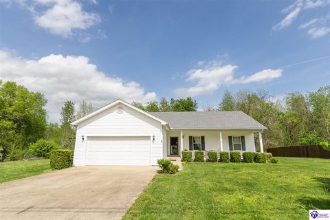 103 Flushing Meadows Drive, Rineyville, KY 40162 - #: HK2601436