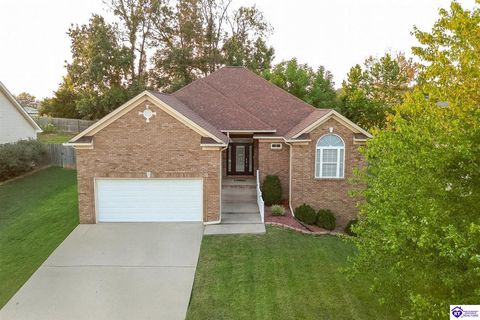 321 Vineland Place Drive Vine Grove KY 40175