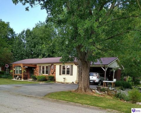 401 Embry Villa Drive, Leitchfield, KY 42754 - MLS#: HK25001728