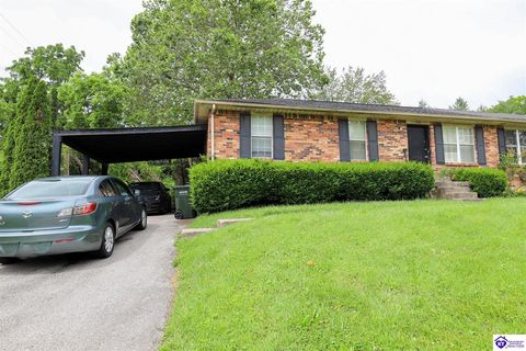 202 Eagle Pass Drive, Radcliff, KY 40160 - #: HK25002329