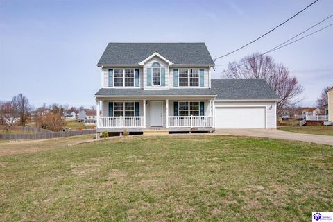 296 Waterfowl Loop, Rineyville, KY 40162 - MLS#: HK25000847