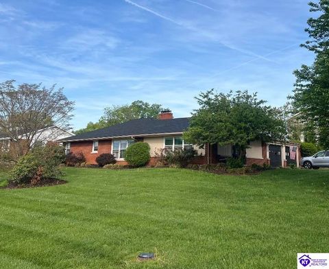 201 Shreve Drive, Campbellsville, KY 42718 - MLS#: HK25000705