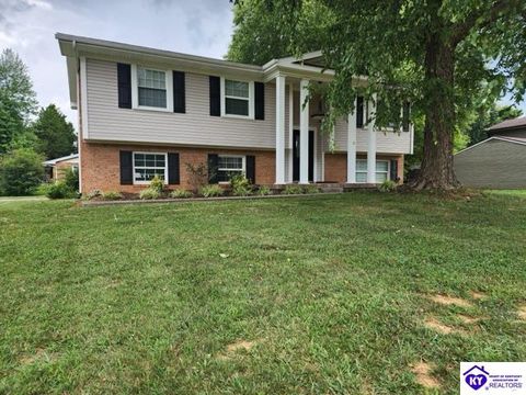 911 St John Road, Elizabethtown, KY 42701 - #: HK24002757