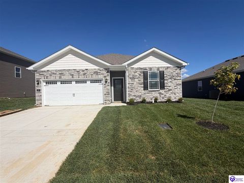 213 Miles Pass, Elizabethtown, KY 42701 - #: HK25004268