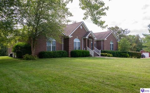 10852 Sonora Hardin Springs Road, Eastview, KY 42732 - MLS#: HK25000636
