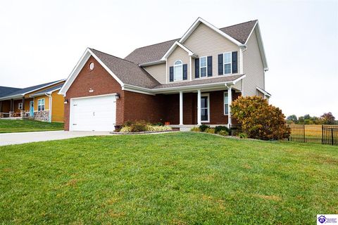 112 McClendon Hills Lane, Elizabethtown, KY 42701 - #: HK25004602