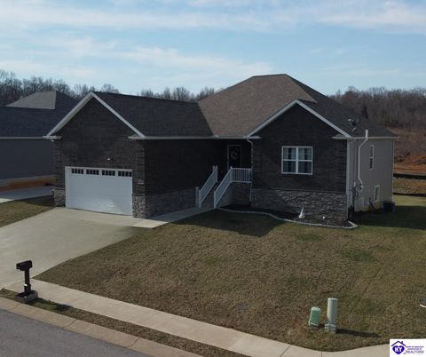 310 Turner Court, Vine Grove, KY 40175 - MLS#: HK25000007