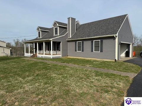 116 Creekview Lane, Rineyville, KY 40162 - #: HK2601202