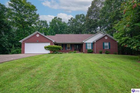 236 Bobwhite Road, Brandenburg, KY 40108 - #: HK25002850