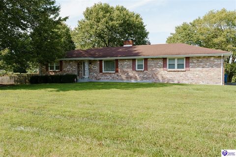 62 Eugenia Avenue, Hodgenville, KY 42748 - MLS#: HK25000516