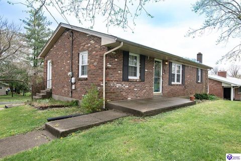 606 Dogwood Drive, Elizabethtown, KY 42701 - MLS#: HK25001442