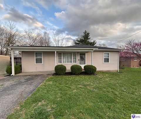 4550 Garrett Road, Ekron, KY 40117 - MLS#: HK25001248