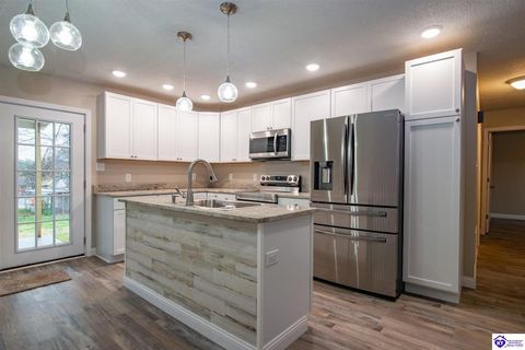 115 Hickory Hill Drive, Elizabethtown, KY 42701 - MLS#: HK25001418