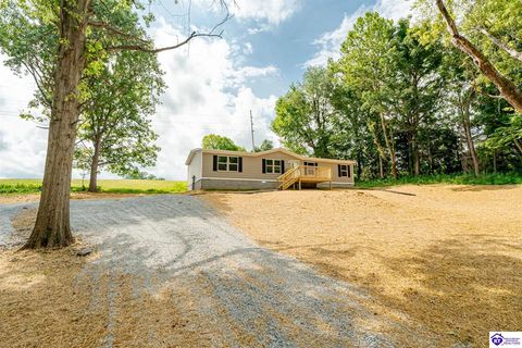 631 Boone Road, Rineyville, KY 40162 - #: HK25003017