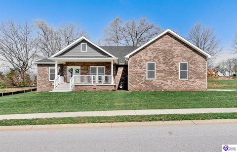 113 Summit Creek Drive, Elizabethtown, KY 42701 - MLS#: HK25001392