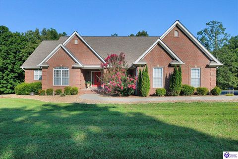15 Serena Circle, Leitchfield, KY 42754 - #: HK25003657