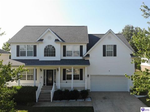 317 Vineland Place Drive, Vine Grove, KY 40175 - #: HK25002912