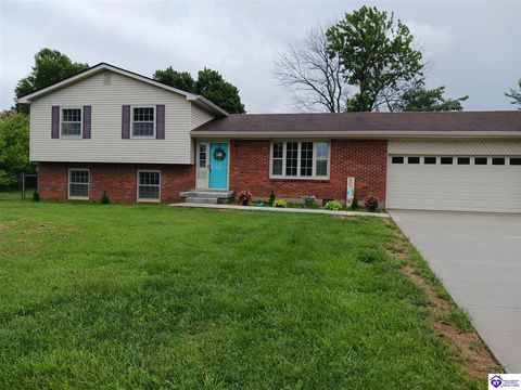 3 Purdue Court, Elizabethtown, KY 42701 - #: HK25001360