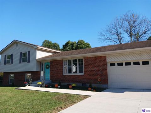 3 Purdue Court, Elizabethtown, KY 42701 - #: HK25001360