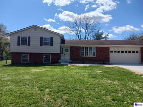 3 Purdue Court, Elizabethtown, KY 42701 - MLS#: HK25001360