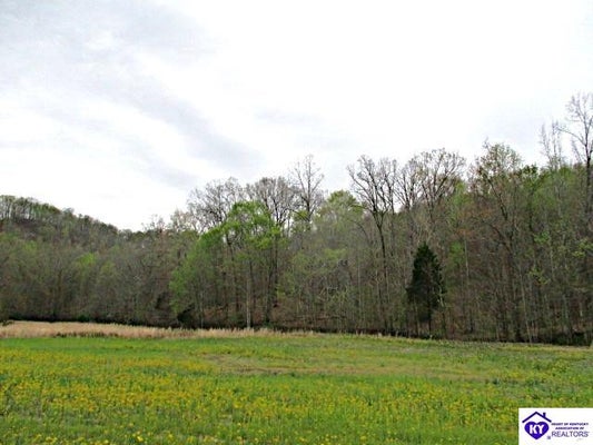 38 SULPHUR LICK RD, NEW HOPE, KY 40052 - Image 3133cf1f4b1aad96d2f465fcf8b68d70/2441096404
