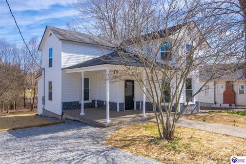 310 Church Street, Vine Grove, KY 40175 - #: HK2600898